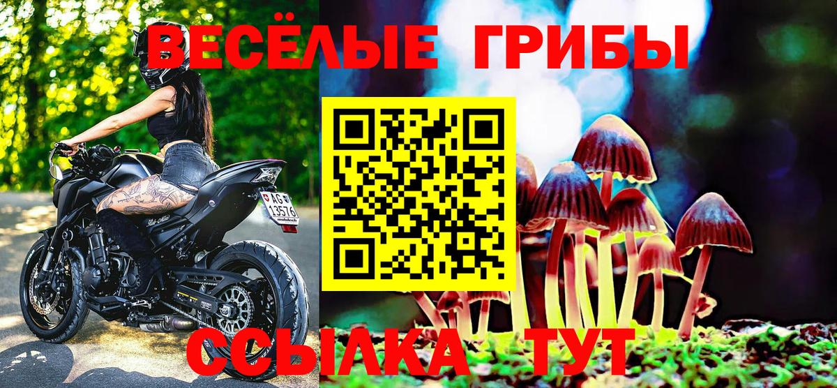 Галлюциногенные грибы MAGIC MUSHROOMS Иваново
